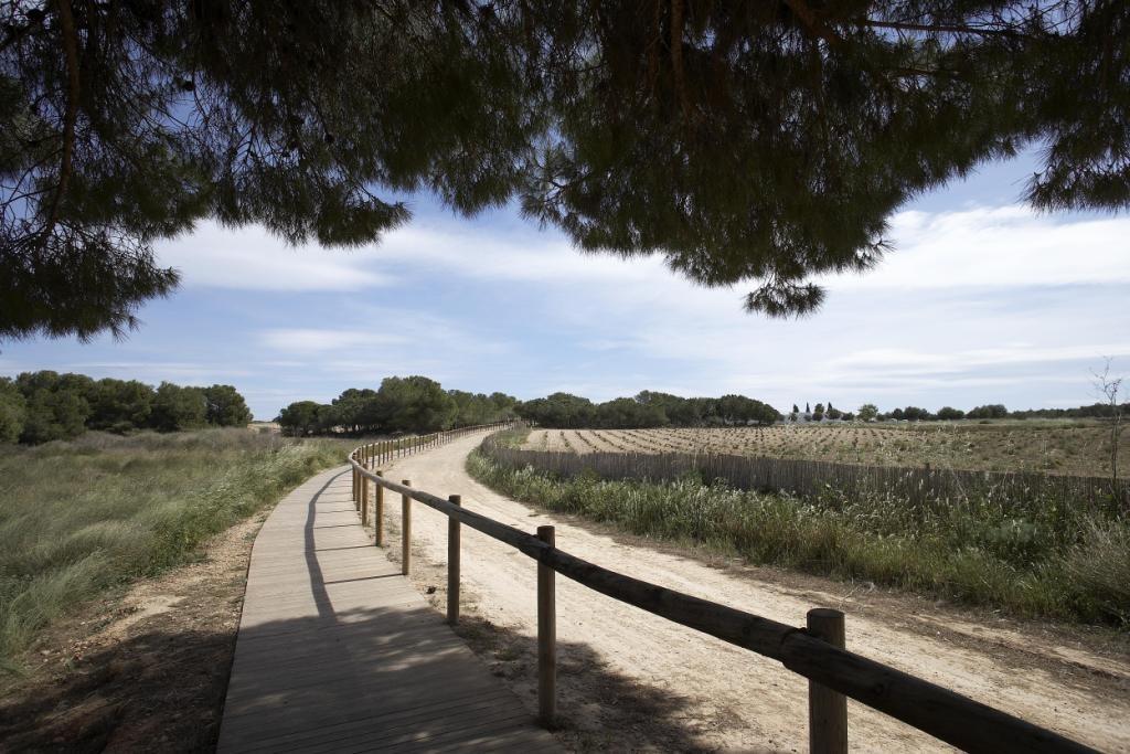 Nueva Promoción en Torrevieja, a 1 km del Mar — photograph 6