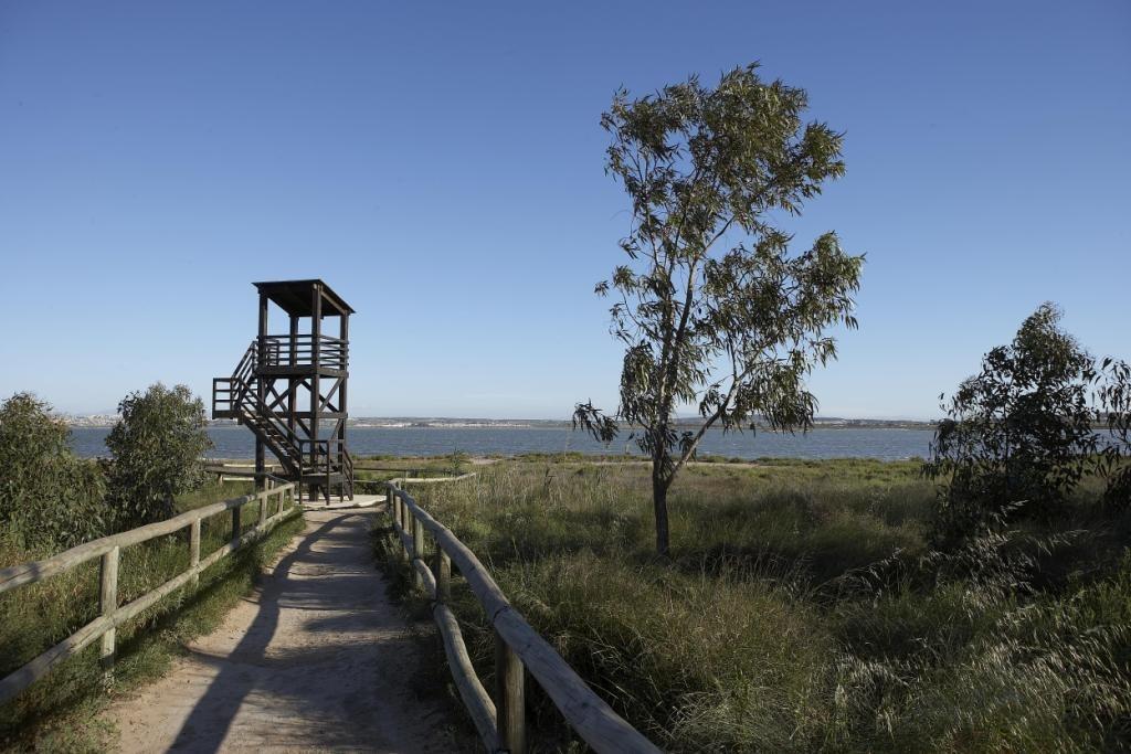 Nieuwbouwproject in Torrevieja, op slechts 1 km van de zee — photograph 3