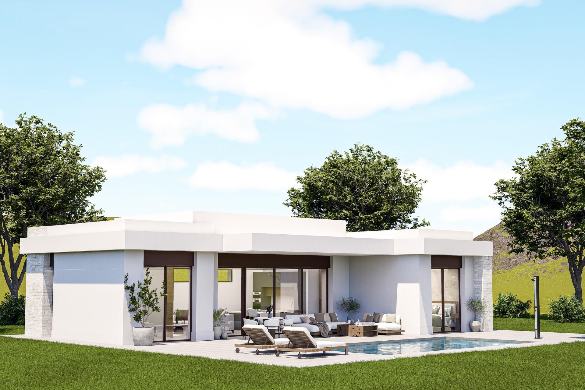 Custom Built New Villas in Pinoso (Alicante): Spacious Homes in Natural Surroundings — Pinoso