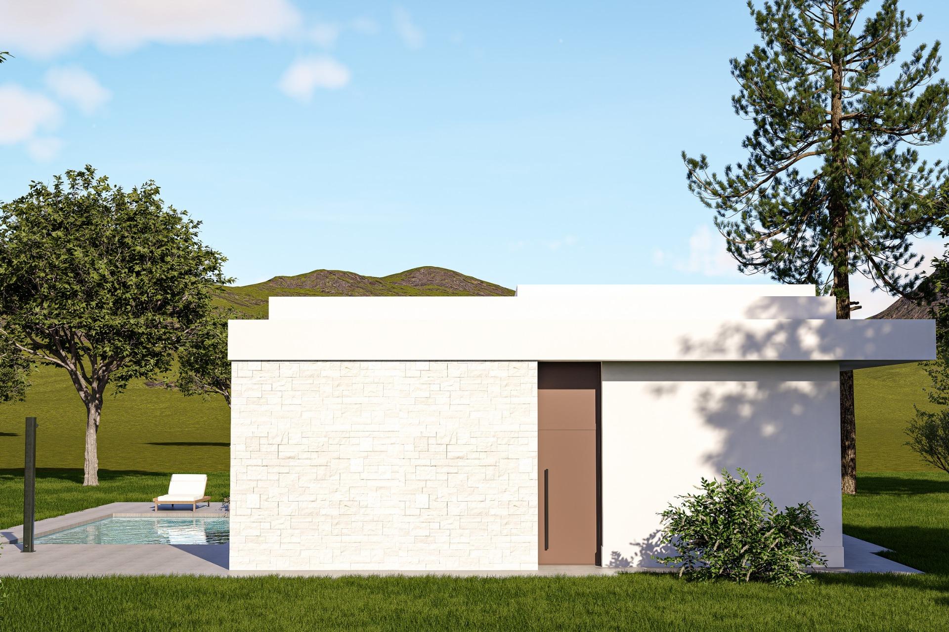 Custom Built New Villas in Pinoso (Alicante): Spacious Homes in Natural Surroundings — photograph 4