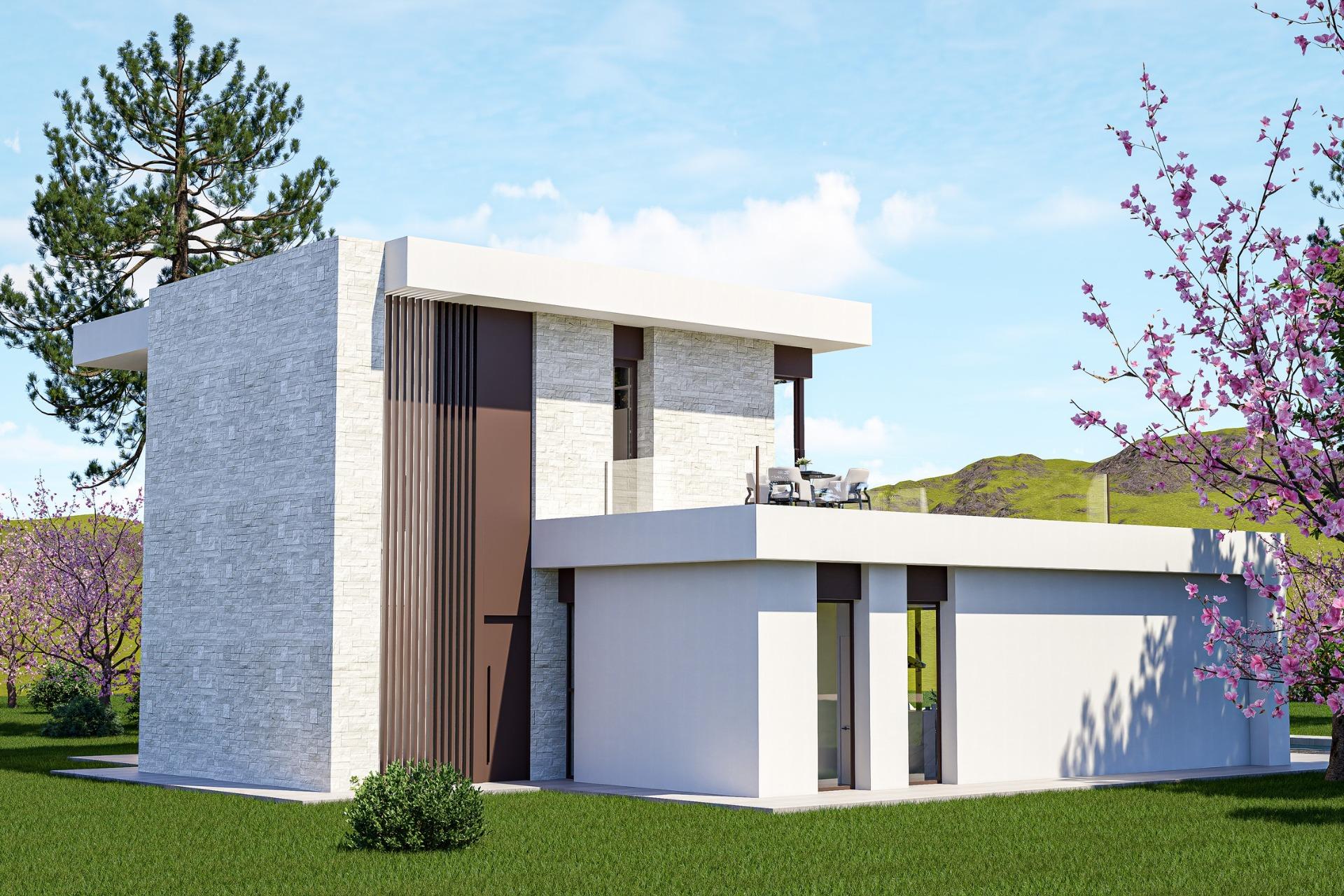 Villas de nueva construcción a medida en Pinoso (Alicante): amplias viviendas en un entorno natural — photograph 3